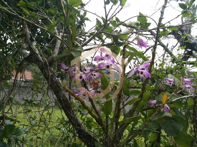 #7 - Terreno para Venda em Itariri - SP